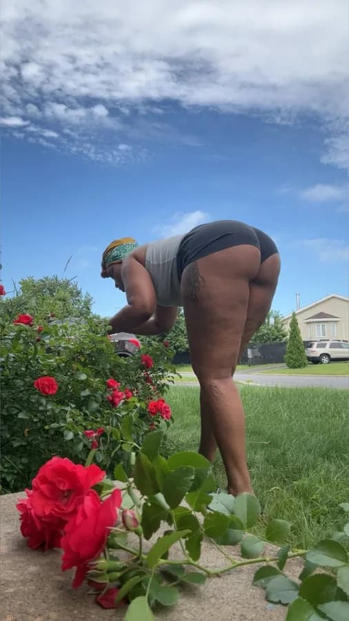 Miarosegold